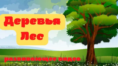 Деревья лиственные и хвойные раскраска - 69 фото