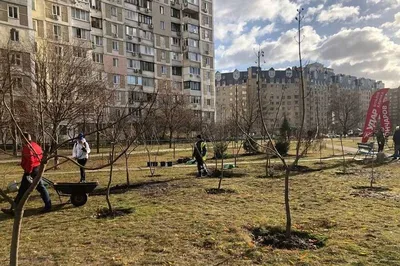 В Дарницком районе Киева обустроили новый сквер | Комментарии.Киев