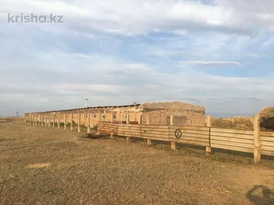 Молочно-товарная ферма: Нуринский район вкладывает в будущее сельского  хозяйства