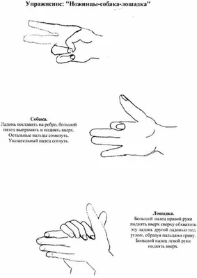 Картотека кинезиологических упражнений – Психологическое зеркало и тИГРотека