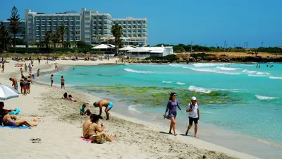 Кот-пеликан, розмарин и фисташковый ликер: как сделать отдых на Кипре еще  интереснее | Ассоциация Туроператоров