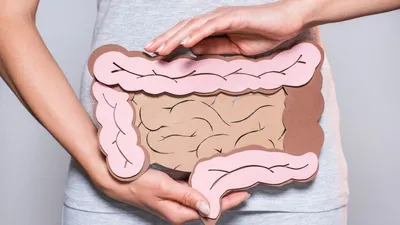 Купить Моделирование науки Мини-модель человеческих органов Мозг Сердце  Легкие Печень Тонкий кишечник Толстый кишечник | Joom