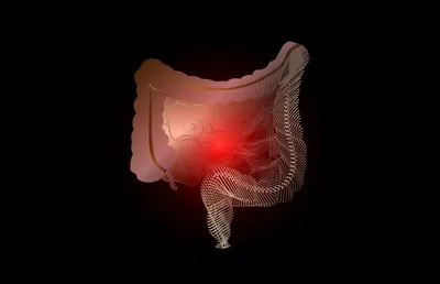 Купить Моделирование науки Мини-модель человеческих органов Мозг Сердце  Легкие Печень Тонкий кишечник Толстый кишечник | Joom