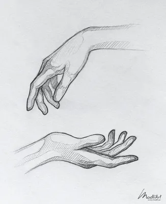 Изображения кистей рук в высоком разрешении