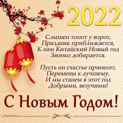 Китайский Новый год 2022 – что нельзя делать в это время с 1 по 15 февраля  – традиции - ZN.ua