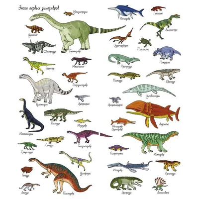 виды динозавров: 10 тыс изображений найдено в Яндекс.Картинках | Ancient  animals, Animal art, Dinosaur