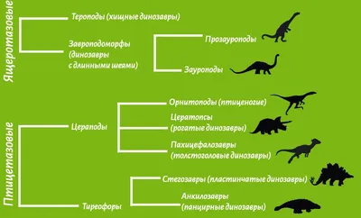 Классификация динозавров в картинках фотографии