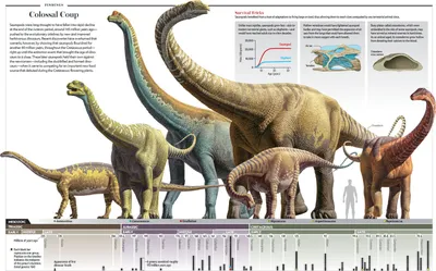 Стегозавр – Stegosaurus, стегозавры, стегозавр фото, динозавр стегозавр  картинки, динозавры онлайн dinosaurs, бесплатно динозавры хищные, фото  динозавры юрского периода, доисторические динозавры в картинках, самый  большой динозавр, виды динозавров ...