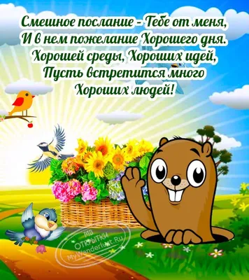 🌺 Замечательной среды! | Поздравления, пожелания, открытки! | ВКонтакте