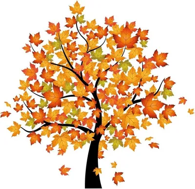 Кленовое дерево осенью рисунок - 63 фото