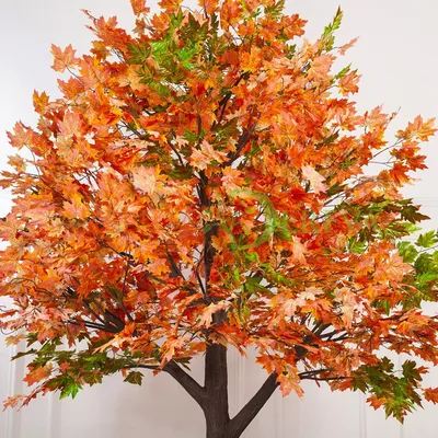 Фото искусственных деревьев осенний клен - заказать - надежно