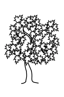 Листья Дерево Клен - Бесплатное фото на Pixabay - Pixabay