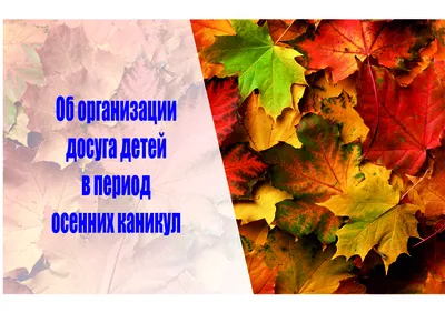 Мастер-класс совместной аппликации из сухих листьев «Осенний клён» (5  фото). Воспитателям детских садов, школьным учителям и педагогам - Маам.ру