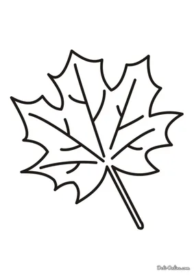 Free: Autumn Leaves Maple Leaf - Кленовый Лист Вектор Png - nohat.cc