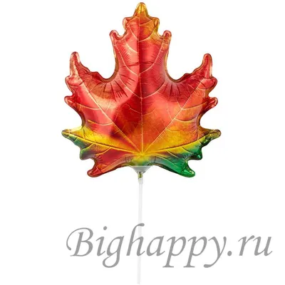 Фольгированный шар «Лист кленовый» купить в Москве с доставкой: цена, фото,  описание | Артикул:1207-4802