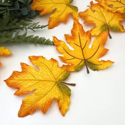 красный кленовый лист с каплями воды, осень, время года, лист фон картинки  и Фото для бесплатной загрузки