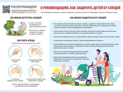 В Татарстане впервые за много лет ребенок заразился клещевым энцефалитом |  Здоровье детей | ЗДОРОВЬЕ | АиФ Казань