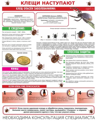 Как защитить детей от клещей