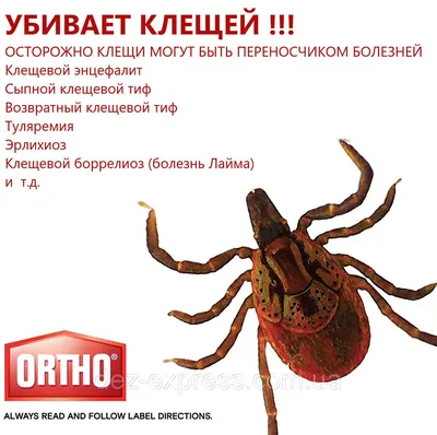 Клещи это не насекомые - надежный результат | СПК Ликвидатор™ Киев,  Харьков, Одесса, Запорожье, Днепр