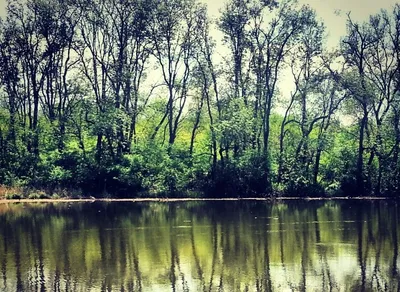 Комплекс отдыха Клёвое место 📍 отзывы, фото, цены, телефон и адрес - Дома  отдыха - Краснодар - Zoon.ru