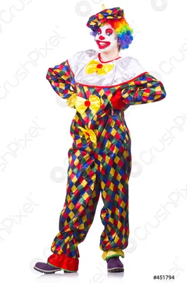 Фотография клоуна в костюме для шоу