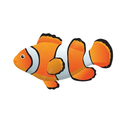 Клоун рыба: изображение для плаката