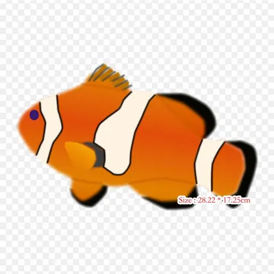 Клоун рыба: фото для магазина