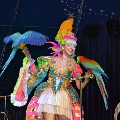 Смех и веселье: фотография клоунов на фоне цирка