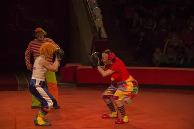 Клоуны в цирковом шоу: красочные и яркие фото