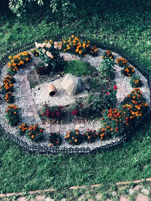 розовые красные и белые ностальгические розы в саду. клумба с розой. Thuja  Topiary на фоне. цветение Стоковое Изображение - изображение насчитывающей  чувствительно, украшение: 218943043