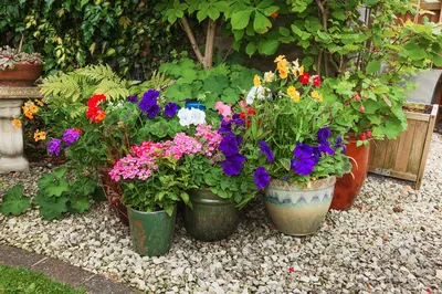 Клумба трехъярусная Альпийская ГОРКА для цветов многоярусная для дачи и  сада, Цвет: Серебристый - купить с доставкой по выгодным ценам в  интернет-магазине OZON (912689543)