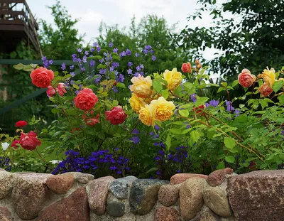 🏡Клумбы и цветники для сада - своими руками. 10 интересных способов.  Цветники в саду