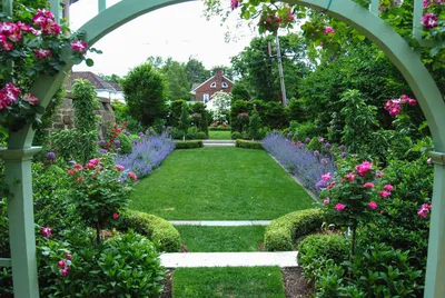Розарий на даче: 70 фото живописного украшения за садом и цветником
