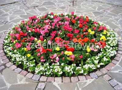 Резные садовые клумбы для цветов на даче или в саду