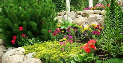 Вазоны и кашпо в саду: Где разместить цветы в вазонах на участке? | Houzz  Россия