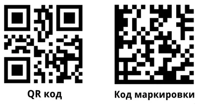 QR-код для сайта – как создать, для чего нужен. Инструкция