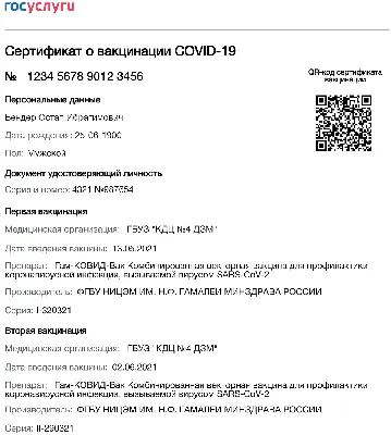 QR-коды, пропущенные через нейросеть | Пикабу