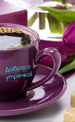 coffee #кофе #доброеутро #кофесаунд #бобруйск #каппучино #американо  #эспрессо #бар #кофейня #эстетика #уют #тепло #осень | Instagram