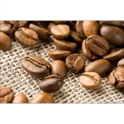 Как выбрать вкусный и качественный кофе в зернах