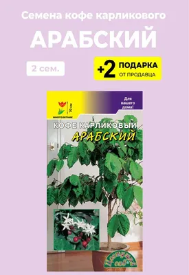 🌿 Кофе Арабика 🌿 растения для дома и офиса