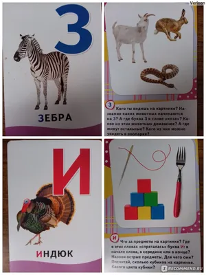 Животные, 3+. Игровые прописи – Knigi-detyam.se