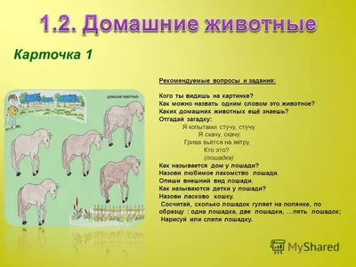 Что ты увидишь первым на картинке? Пройди психологический тест | Бегущая по  волнам | Дзен