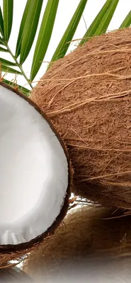 Фотография кокоса: как добавить экзотику в свой дом