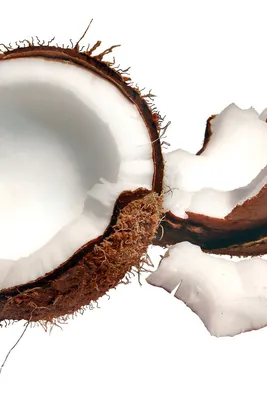 Изображение кокоса: создайте уютную атмосферу в своем доме
