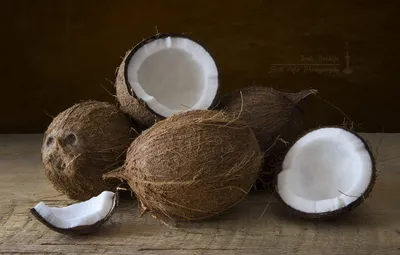 Фото кокоса: красота тропиков в вашем доме