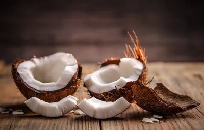 Изображение кокоса: как правильно пересаживать растение