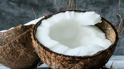 Фотография кокоса: как создать мини-сад внутри дома