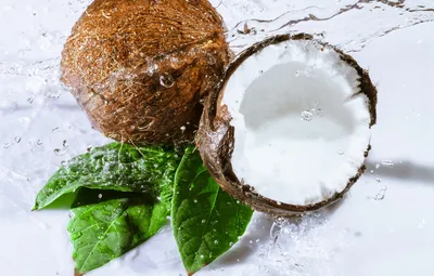 Фото кокоса: добавьте экзотический шарм в ваш интерьер