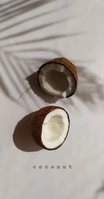 Изображение кокоса: простой способ создать тропическую атмосферу