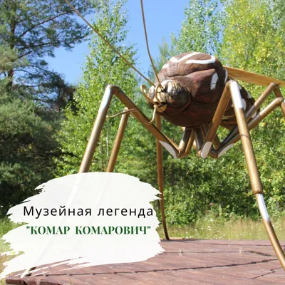 комар комаров, изолированный на белом фоне Иллюстрация вектора -  иллюстрации насчитывающей вектор, взорвать: 230669055